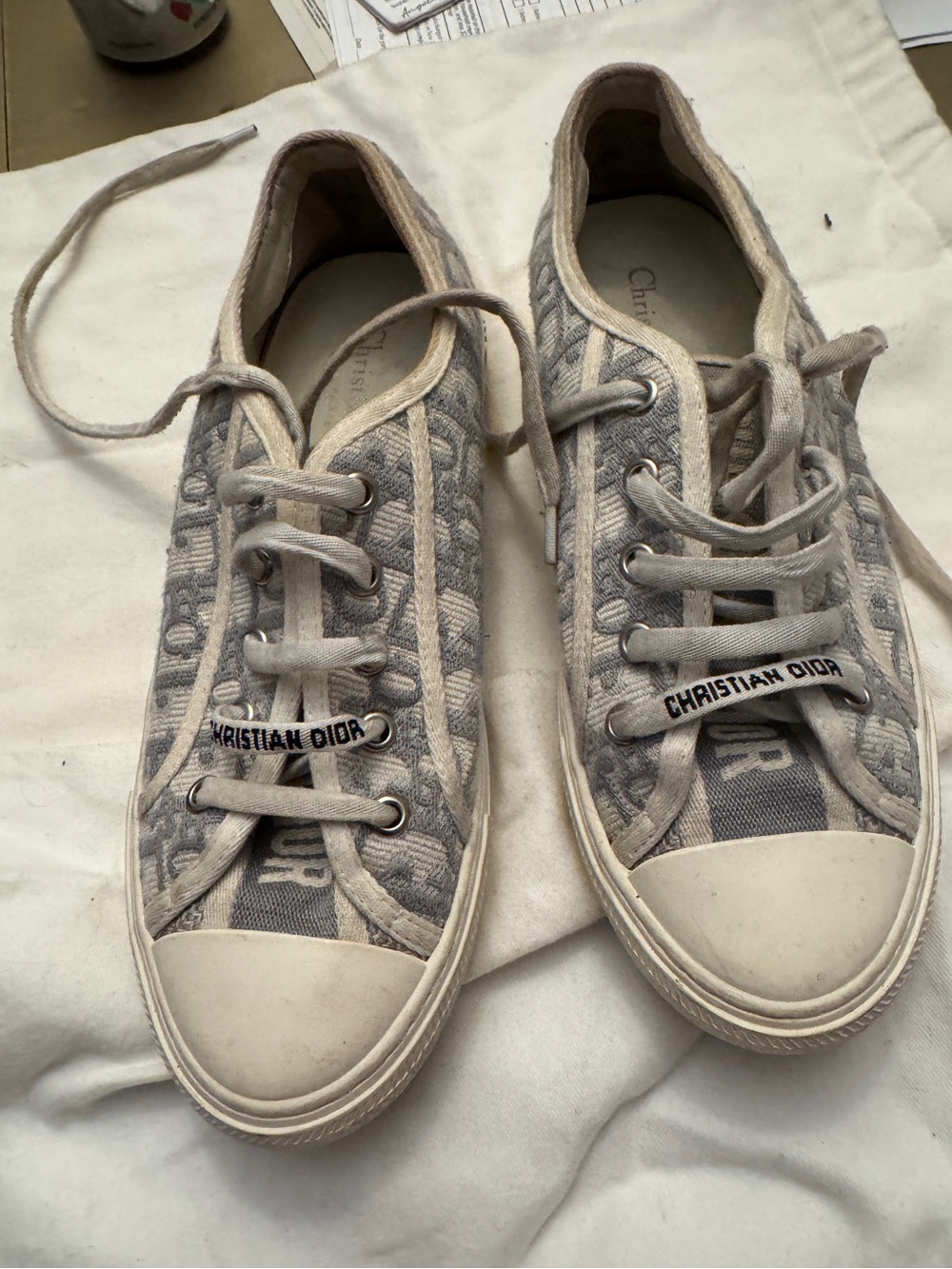 Dior Beige Gray Oblique Canvas Low-Top Sneakers